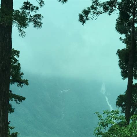 雨夫